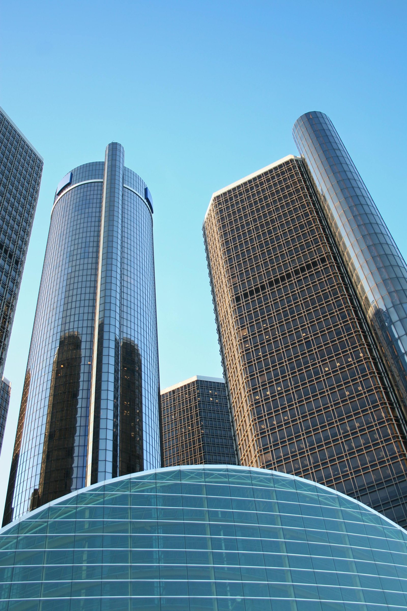 Studying wildlife conservation at universities in the USA is a rewarding and influential path for those passionate about protecting our planet's biodiversity. With a wide range of specialized programs and research opportunities, students can gain the knowledge and skills needed to make a real difference in the field of conservation.